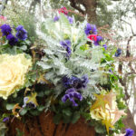 ハンギングバスケット